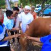 Herman Deru Serahkan Hewan Kurban, Ziarah Keluarga hingga Kunjungi Wisata Religi Al Quran Raksasa di Hari Raya Idul Adha