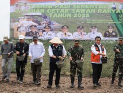 Gubernur Herman Deru Pimpin Tanam Padi Serentak di Banyuasin, Perkuat Sumsel Lumbung Pangan Nasional