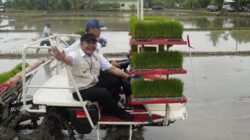 Sinergi Pusat-Daerah Diperkuat untuk Hadapi Ancaman El Nino