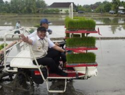 Sinergi Pusat-Daerah Diperkuat untuk Hadapi Ancaman El Nino
