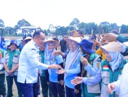 Cik Ujang Hadiri Panen Raya Jagung di OKU Selatan, Dorong Swasembada Pangan Nasional