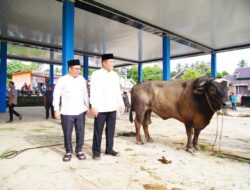 Bupati Muba Tinjau Penyembelihan Kurban di Sungai Angit, Dua Sapi Limosin Diserahkan ke Warga