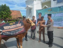 Kapolda Sumsel Titipkan Tiga Hewan Kurban untuk Warga OKU Timur ke Kapolres Adik Listiyono