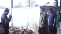 Herman Deru Tinjau Pabrik Tapioka di Indralaya, Tekankan Penguatan Ekonomi Tak Bergantung APBN/APBD