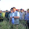 Herman Deru Hadiri Panen Raya TNI di OKI, Tegaskan Komitmen Sumsel Perkuat Ketahanan Pangan Nasional