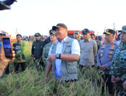 Herman Deru Hadiri Panen Raya TNI di OKI, Tegaskan Komitmen Sumsel Perkuat Ketahanan Pangan Nasional