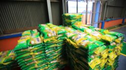 Pemprov Sumsel Jamin Stok Beras Aman hingga 10 Bulan Kedepan, Masyarakat Diimbau Tidak Panic Buying