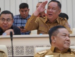 Wagub Cik Ujang Dorong Optimalisasi Lahan Rawa Sumsel untuk Pertanian dan Kesejahteraan Masyarakat
