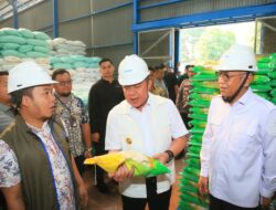 Tinjau Gudang Bulog Lubuklinggau, Gubernur Herman Deru Pastikan Stok Beras Sumsel Aman hingga 10 Bulan kedepan